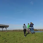 De Brabantse Biesbosch
