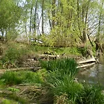 De Brabantse Biesbosch Werkendam