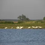 Hotel De Brabantse Biesbosch
