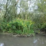 De Brabantse Biesbosch Hotel Werkendam
