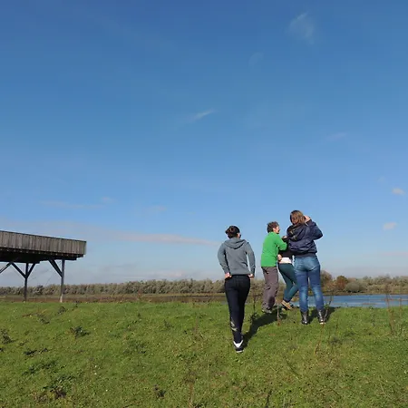 De Brabantse Biesbosch