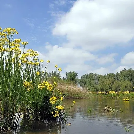 De Brabantse Biesbosch