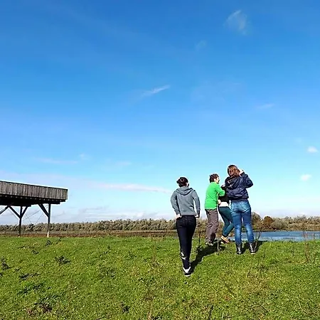 De Brabantse Biesbosch 3*