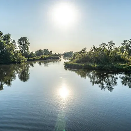 De Brabantse Biesbosch