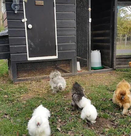 De Brabantse Biesbosch 3* Werkendam