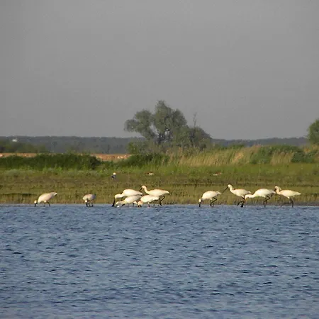 De Brabantse Biesbosch Werkendam