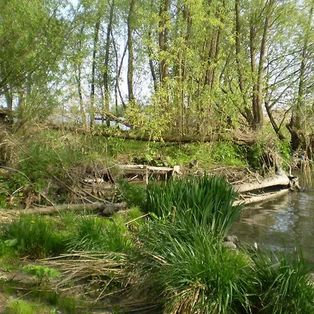 De Brabantse Biesbosch Werkendam