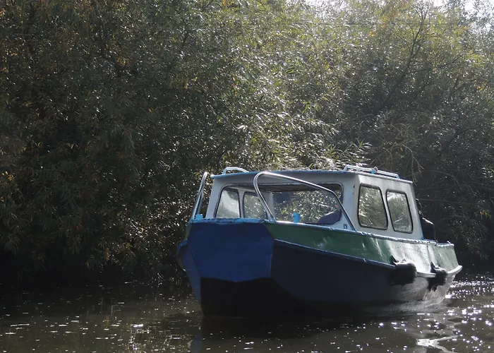 De Brabantse Biesbosch