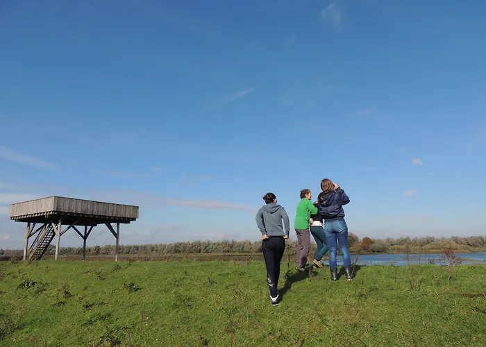 De Brabantse Biesbosch