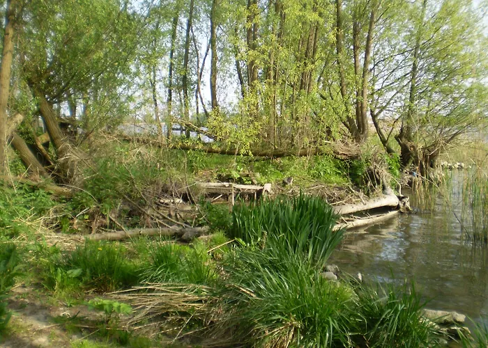 De Brabantse Biesbosch Werkendam