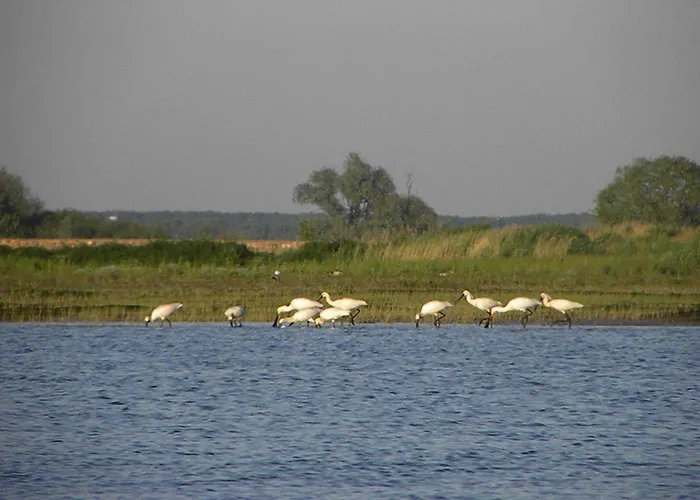 酒店 De Brabantse Biesbosch