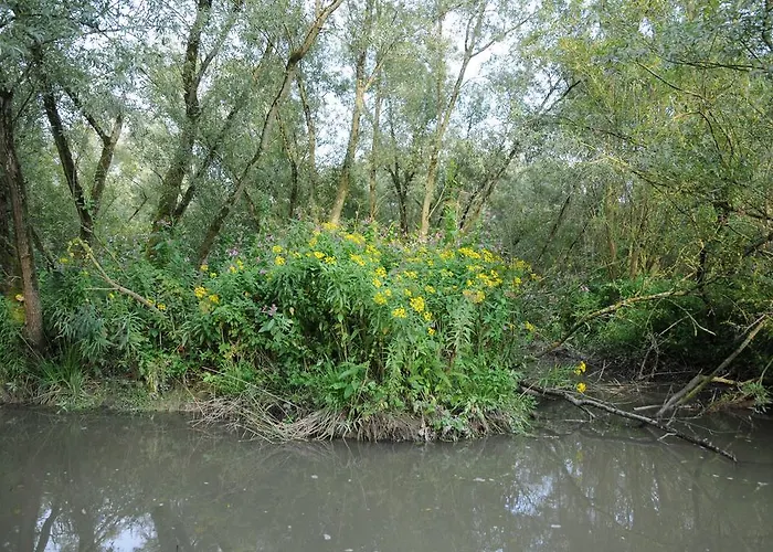 De Brabantse Biesbosch 酒店 Werkendam