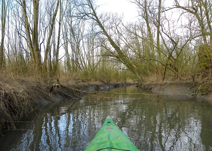 酒店 De Brabantse Biesbosch Werkendam