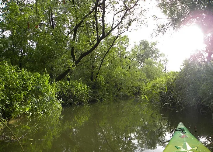 De Brabantse Biesbosch 3* Werkendam