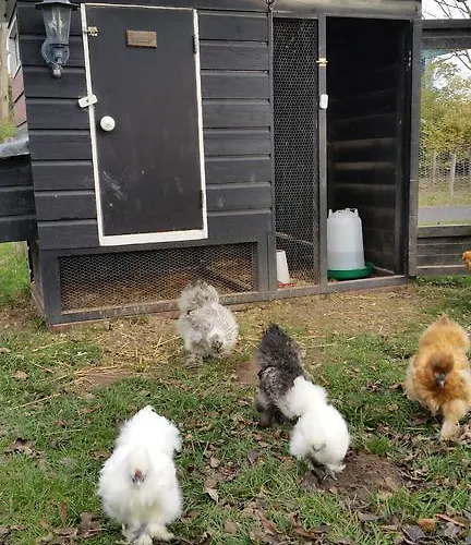 De Brabantse Biesbosch 3* Werkendam