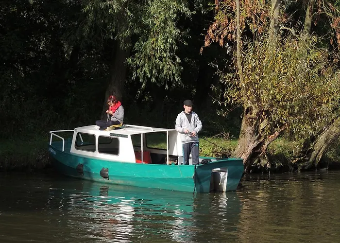 De Brabantse Biesbosch