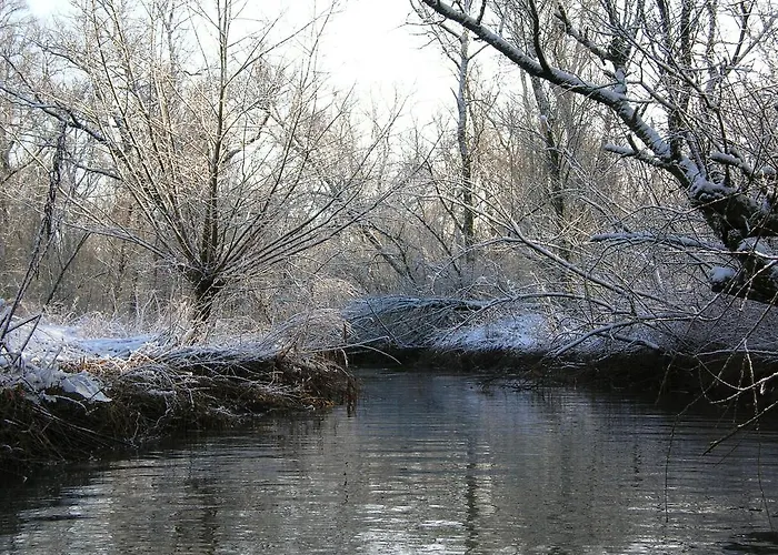 Hotel De Brabantse Biesbosch 3*