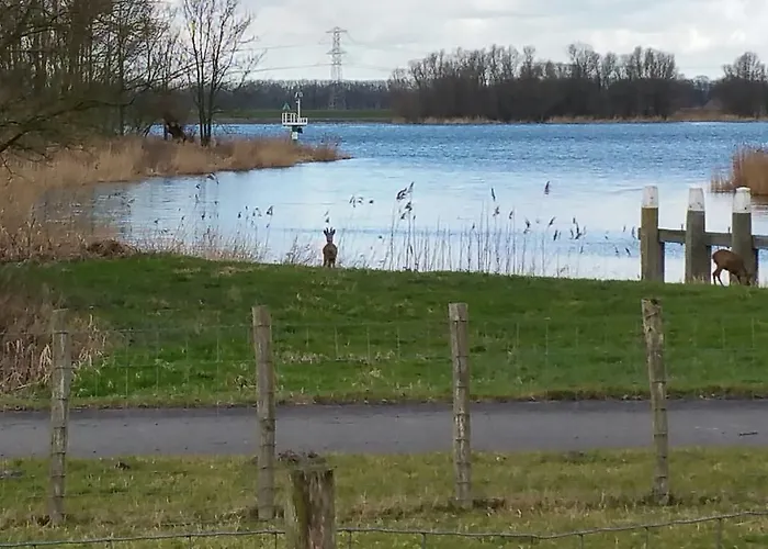 De Brabantse Biesbosch 酒店