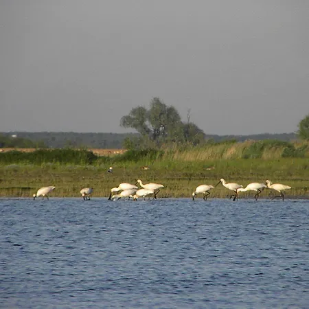 Hotel De Brabantse Biesbosch