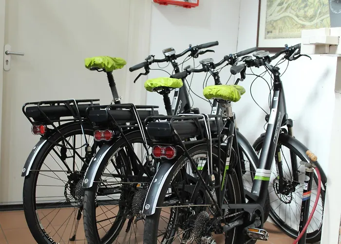 De Brabantse Biesbosch