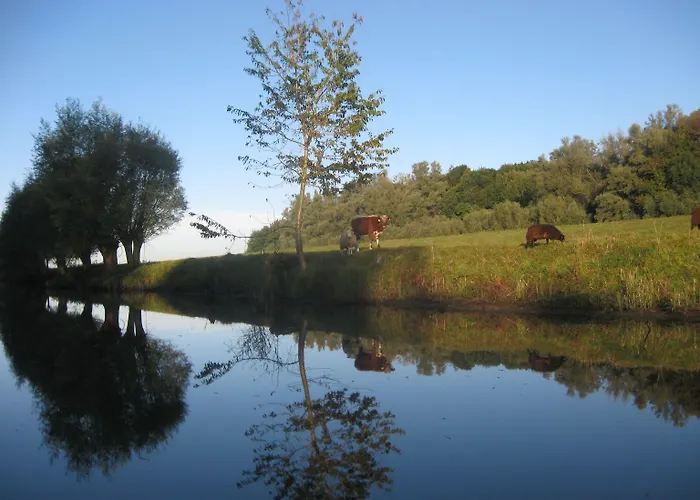 De Brabantse Biesbosch Werkendam