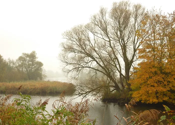 Отель De Brabantse Biesbosch Werkendam
