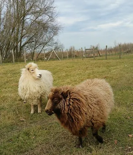 De Brabantse Biesbosch Отель 3*