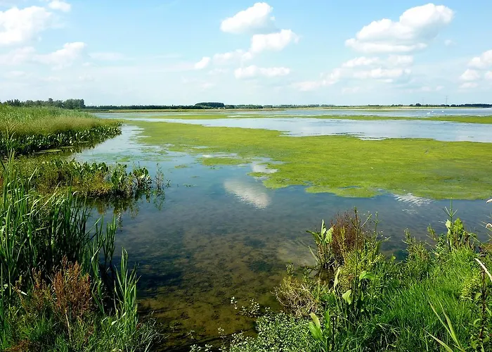 De Brabantse Biesbosch Отель
